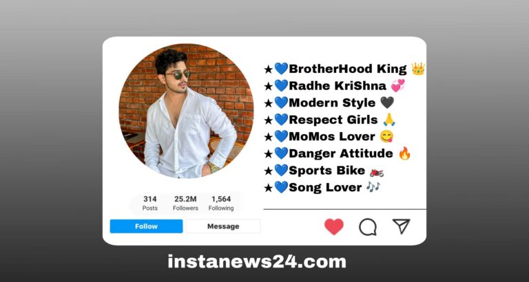 {Best 290+} Brother Bio For Instagram | English & Hindi