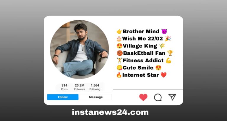 {Best 290+} Brother Bio For Instagram | English & Hindi